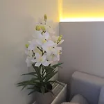 Otel Loc Kannenkeller Smart