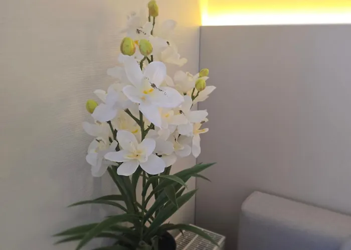 Hotel Loc Kannenkeller Smart